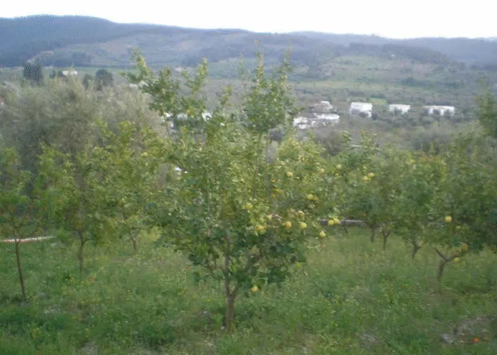 Landhaus Parco Dei Limoni Peschici