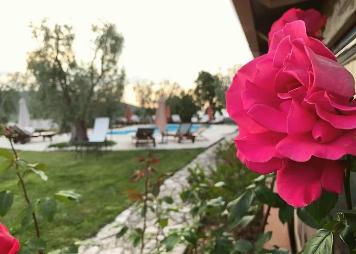 Parco Dei Limoni Casa di campagna *